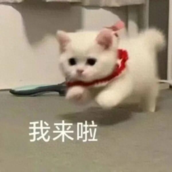 草莓乐迷必看！凭票可享南沙多样福利！