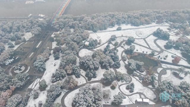 秋色未退雪已至，哈尔滨太阳岛上演“金秋白雪”奇观