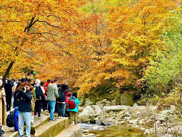 那抹交融的酡红