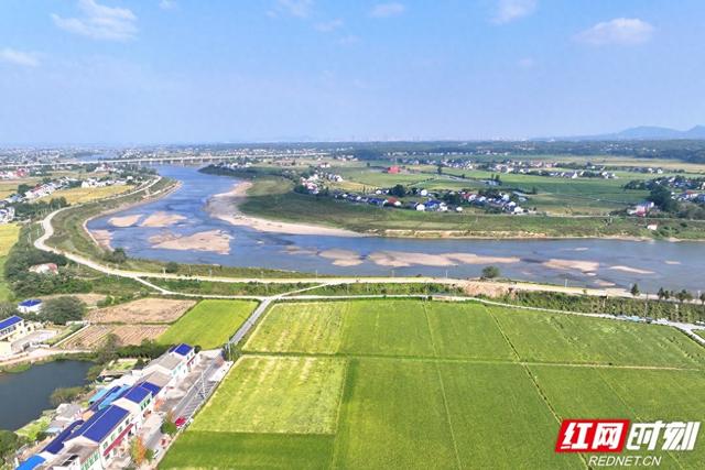 秋游时刻丨粮安天下，韵满双江——宁乡这个镇的乡村诗意太动人