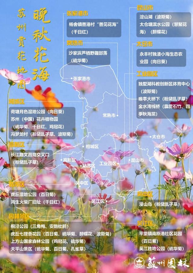 21处绚烂花海！苏州“晚秋花海”赏花地图出炉