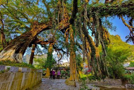 赴一场秋日里的温情之约