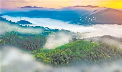 “柘”里风景独好