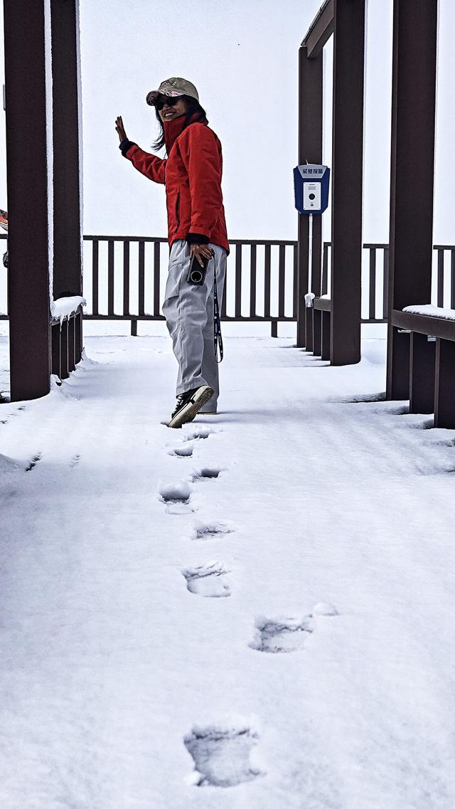 阿万苍湿地下雪了