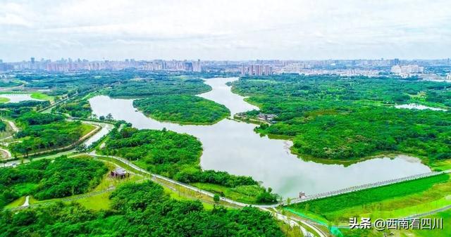 骑行慢跑观赛全满足！成都世运三大主题线路出炉，赛事与城市共舞