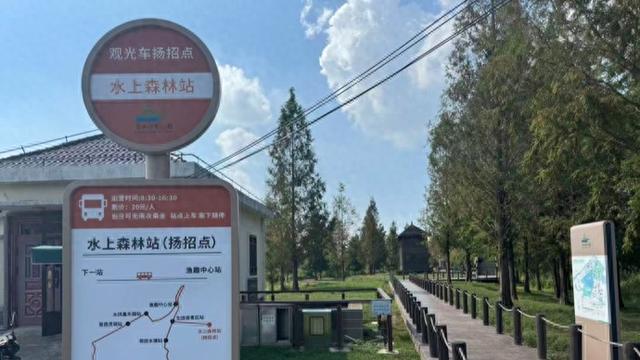 追踪：上海青西郊野公园24小时内可免费停车，下调观光车费用，无限次乘坐