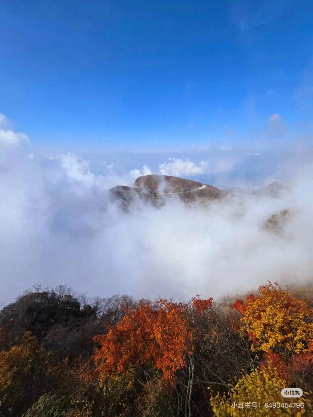 汉中人的私藏赏秋地，一键解锁「无痛爬山+油画森林+云端限定浪漫」的三重体验！