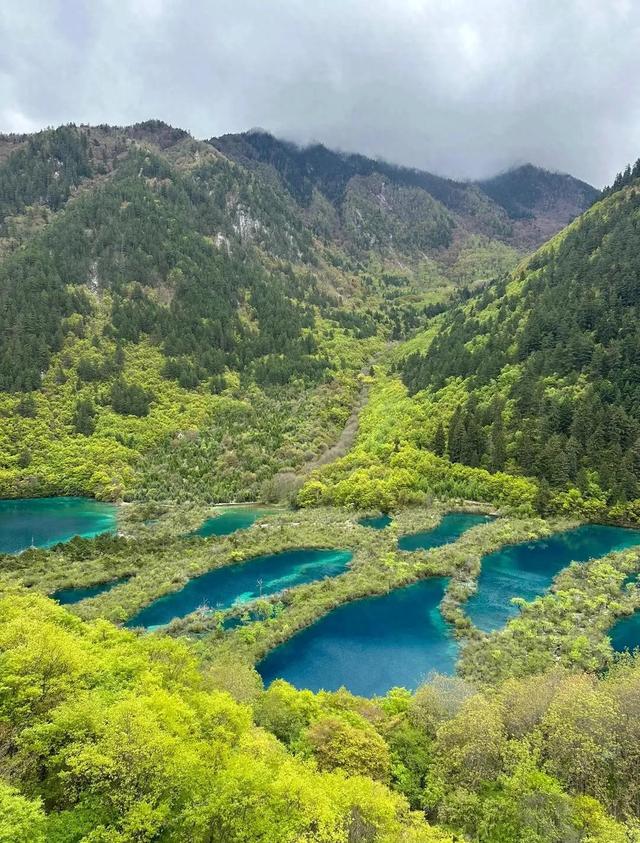 九寨沟中的树正群海