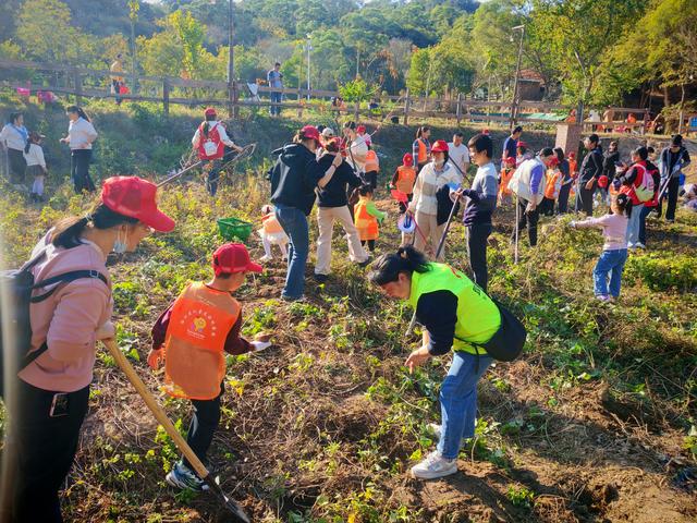 田间地头“小农夫” 大自然里“趣”探险
