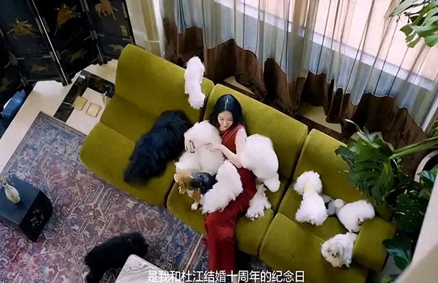霍思燕北京的家似庄园，奢华的令人咂舌，父母双亡养一堆宠物感藉