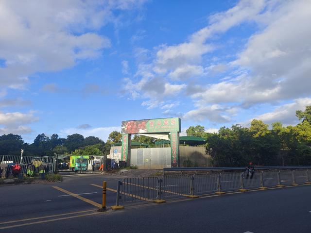西丽湖绿道，慢慢骑慢慢地欣赏。