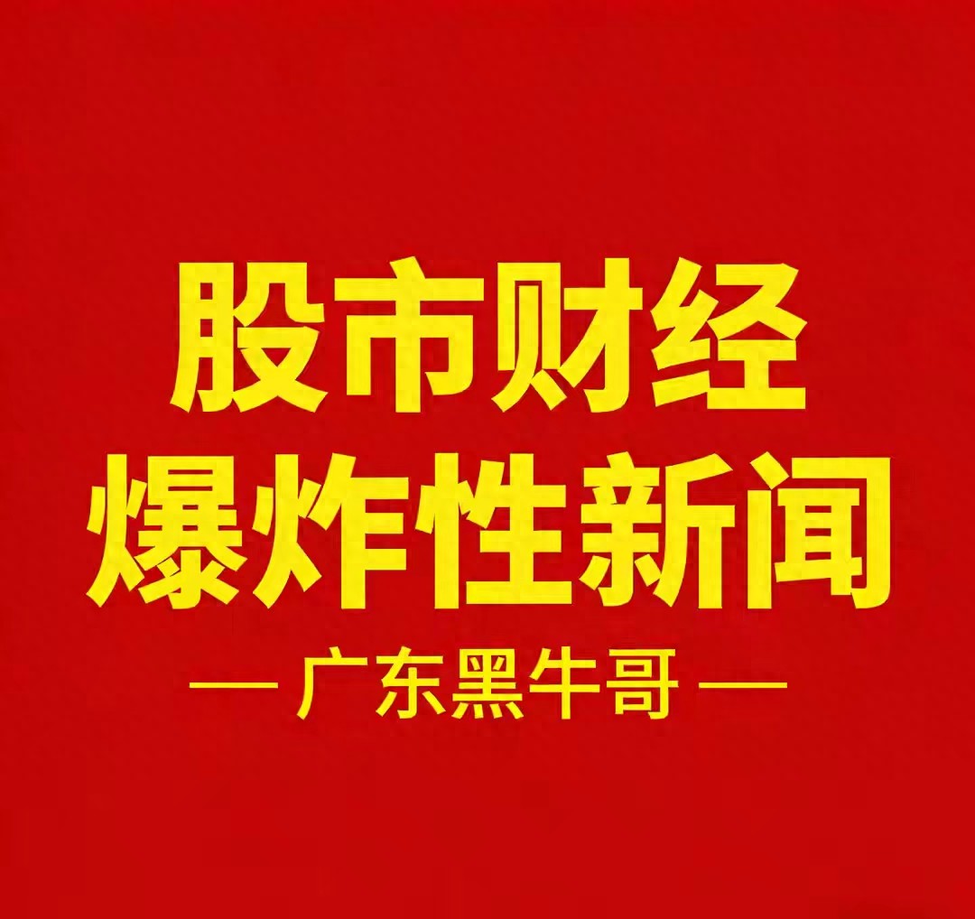 上市公司财务造假专项行动_股票600491_证监会立案调查上市公司