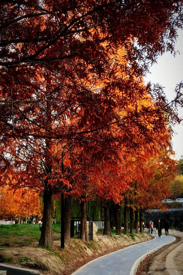 西安周末好去处——初冬8处宝藏公园免费又好玩！