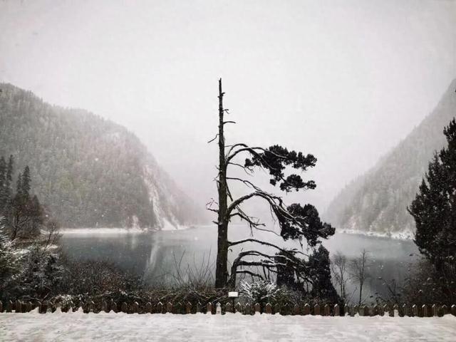 九寨沟发布公告：禁止穿越