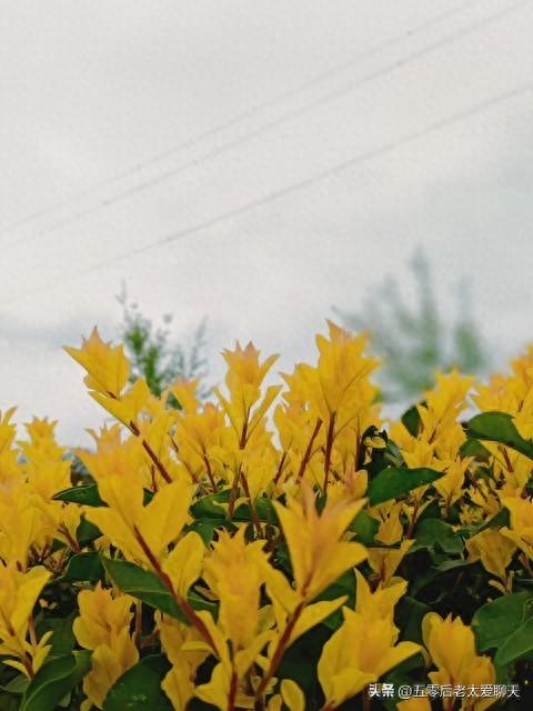 老年人掌纹刷卡乘车2