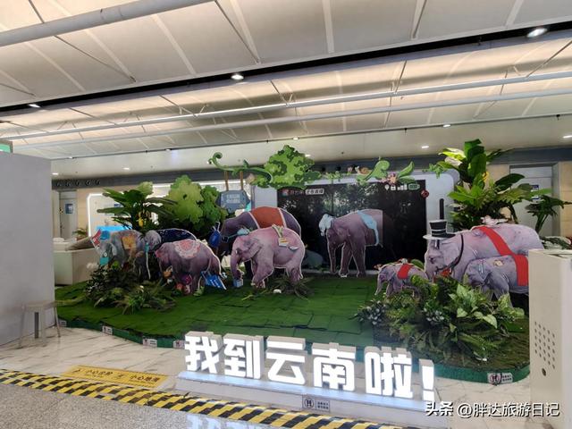 3000元玩转云南，第一天官渡古镇、云南省博物馆、斗南花卉市场