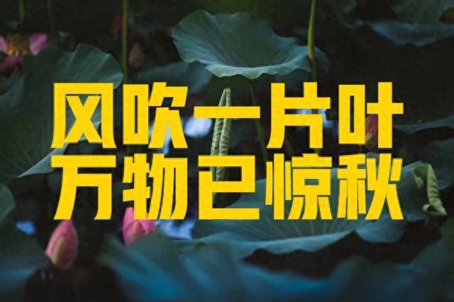 不是迷信！明日立秋，记住“1不洗，2不做，吃3样”，别再忽略了