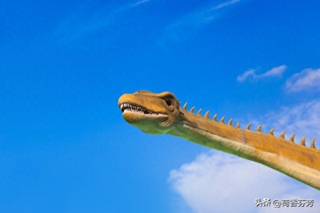 敏捷近义词（四年级语文下册第6课飞向蓝天的恐龙背记清单）