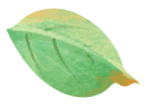 闭 馆 公 告