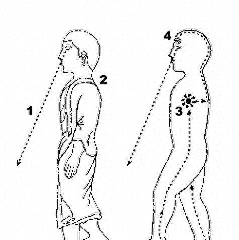 行禅遇上溜腿，在行走间练出传武身步真功夫