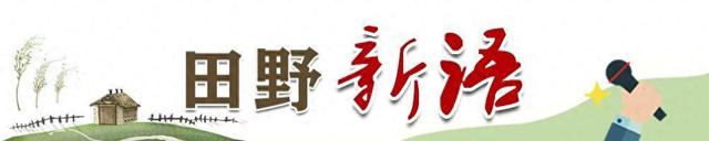 田野新语｜新规出台！平台定价有了公道可言