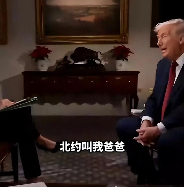 特朗普洋洋自得“北约叫我爸爸”