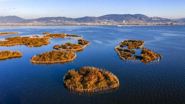 杞麓湖的初冬，藏着最温柔的治愈时光