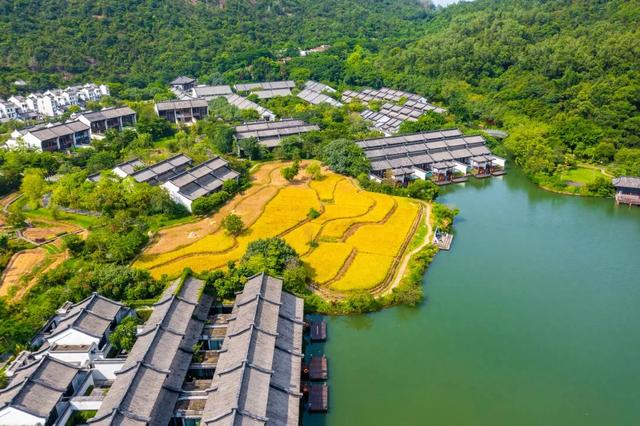 宠粉福利！就在本周六，中海汤泉首届秋实养生节来袭