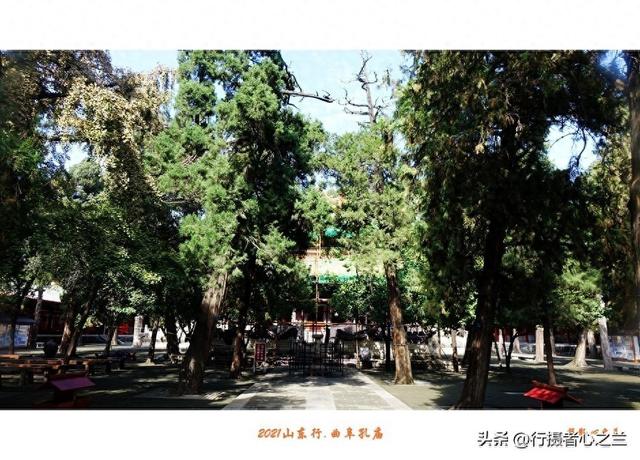 山东行游影记（215）—曲阜孔庙（十）