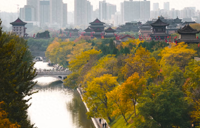 西安面积最大的寺庙，被誉为“中国密宗第一寺”，却少有人知