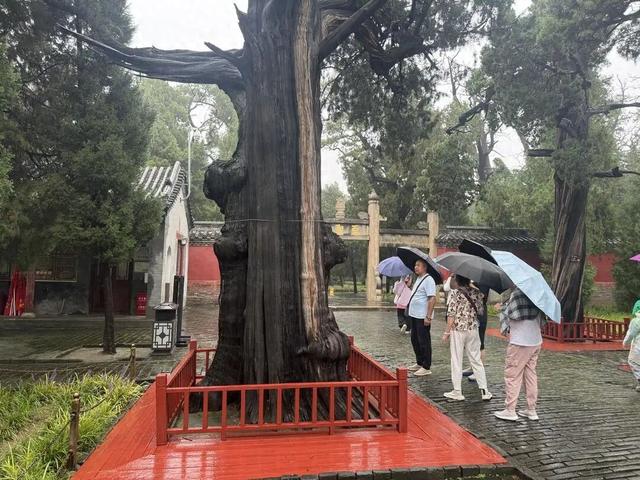 NPC互动体验破圈，济宁这俩景区好玩又热闹