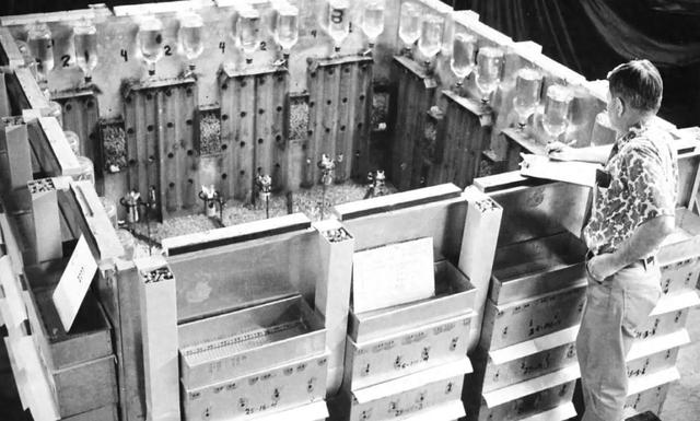 在衣食无忧的“天堂”里，它们自相残杀，然后全员灭亡