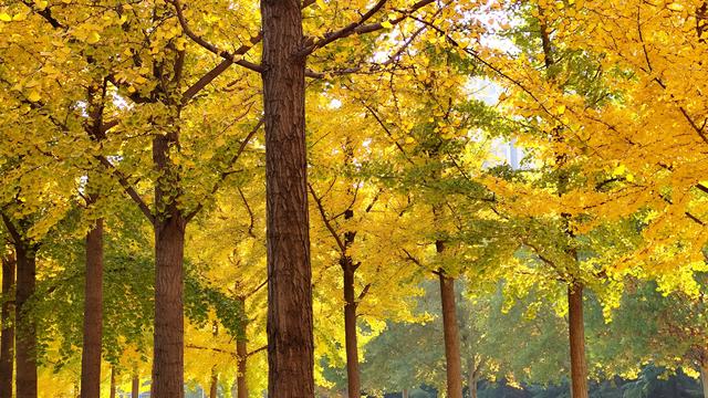 头条是个热闹的聊天室！