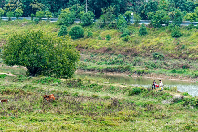 秋游白沙河草甸