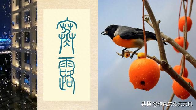 国庆长假最后一天中雨，闲坐家中品唐诗过寒露