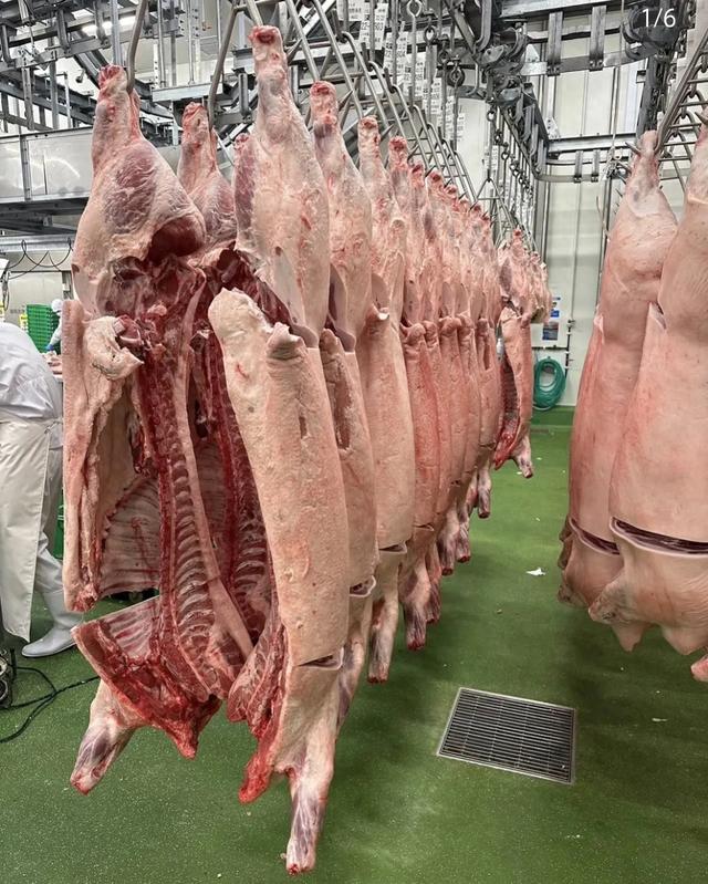 人和猪都是动物，为啥人死后很快就有尸臭味，而猪肉却没事呢？