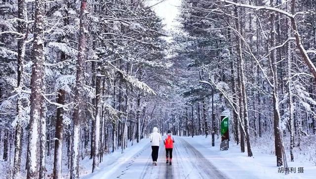 期待！净月潭的冬天 是这样式儿的！