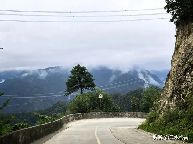 美不美？从“吐一路”到最美乡村路，看4000年银杏，探2000年栈道