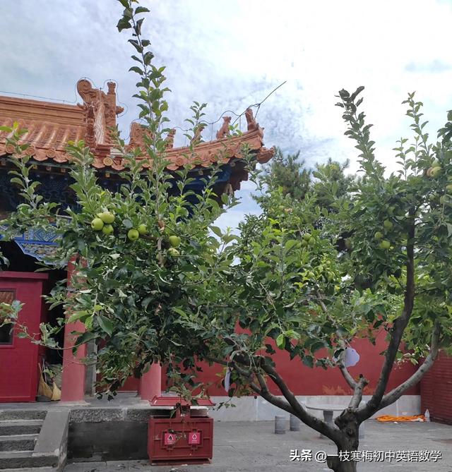 有关put的短语（与put有关的短语及例句）