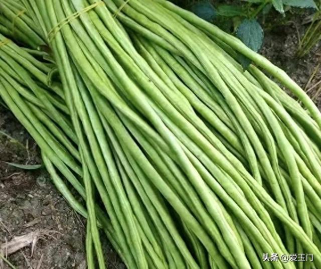 劝告：冬天，尽量不要买这5种蔬菜，看过就知道为什么！