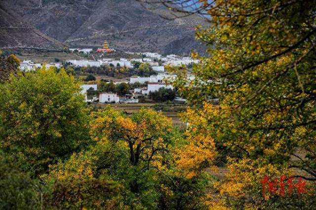 乡城藏乡 风情万种