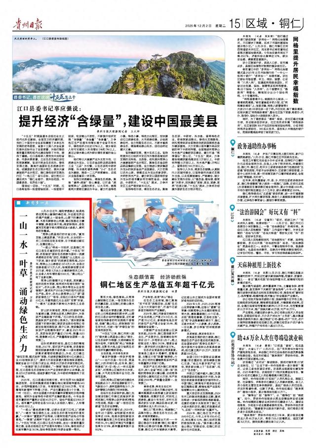 【“十四五”江口答卷】一山一水一叶草 涌动绿色生产力