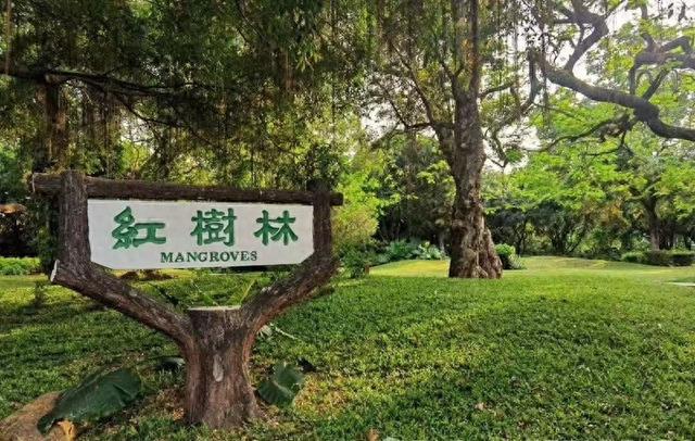 福田红树林自然保护区入口调整，最新交通指引速览！