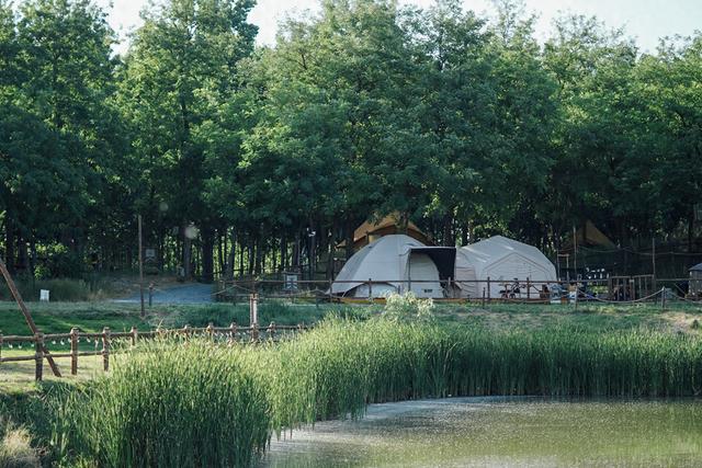 一键开启慢生活！锚定“国际慢城”建设，中牟打造度假旅游目的地