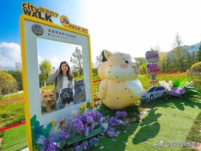 双节叠加催生旅游热！青海整体订单量增长81%