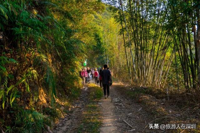 惠州香溪古堡徒步，13 公里解锁水泥与土路的奇妙，藏着多少惊喜
