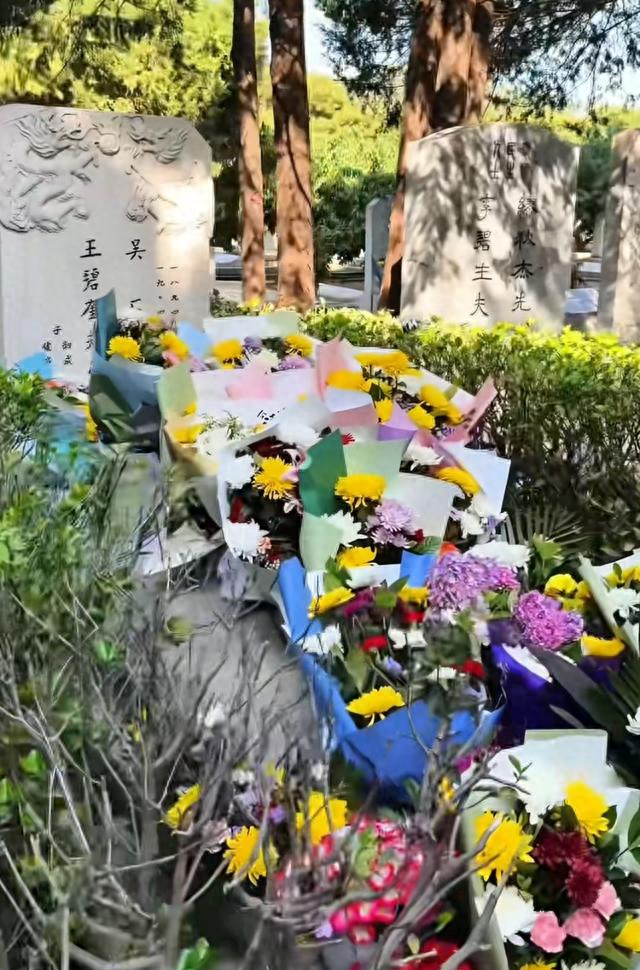 同为《沉默的荣耀》主角！吴石和朱枫的墓前大相径庭、相差悬殊