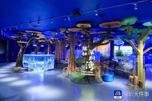 深化“生态+艺术+科技”战略，文旅焕新呈现多元体验