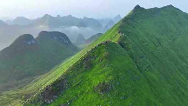 广西三地发公告禁止到未开发未开放区域旅游