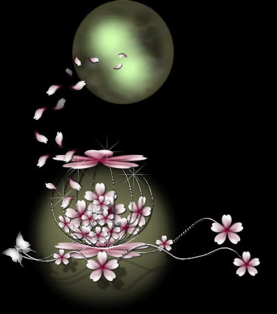 薄在文言文中的意思汇总（初中文言文一词多义180词汇总）